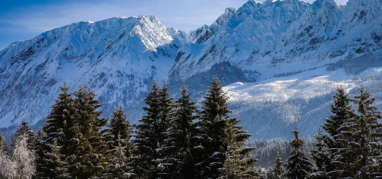 Majestätische Winterlandschaft mit schneebedeckten Bergen und Tannenbäumen nahe dem Aldiana Club Salzkammergut.
