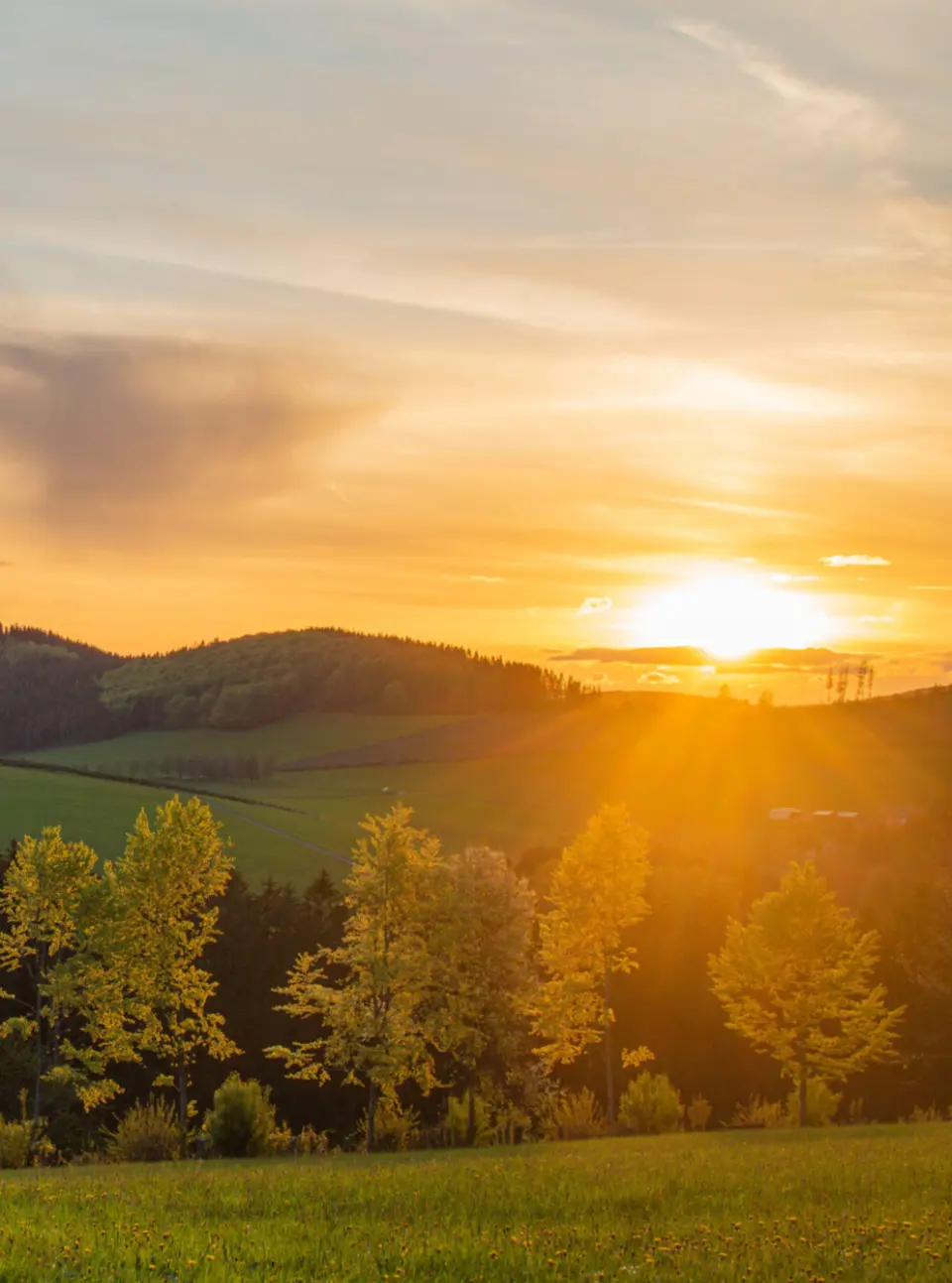 Goldener Sonnenuntergang über den bewaldeten Hügeln und Wiesen rund um das Berghotel Hoher Knochen im Sauerland.