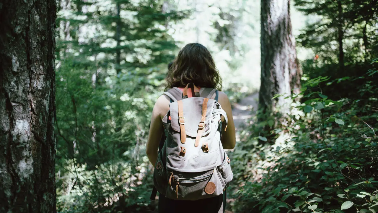 Wanderin mit Rucksack auf einem Waldweg im Naturpark nahe dem Hotel-Resort Waldachtal, umgeben von gruenen Baeumen.