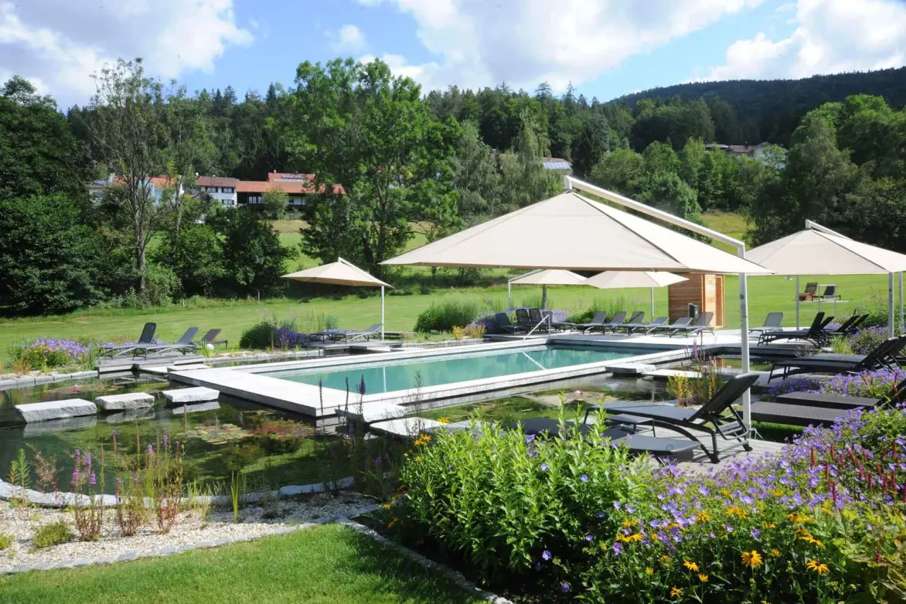 Natürlicher Schwimmteich mit Holzsteg, Liegen und Sonnenschirmen im grünen Garten des Hotel Waldeck.