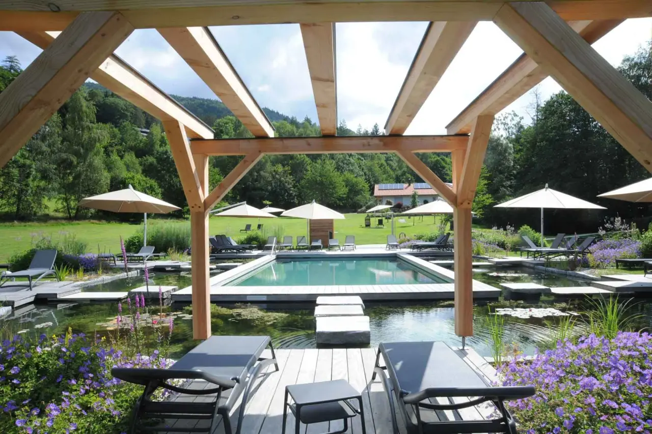 Natürlicher Badeteich mit integriertem Pool und Liegebereich im Garten des Hotel Waldeck, umgeben von grüner Natur.