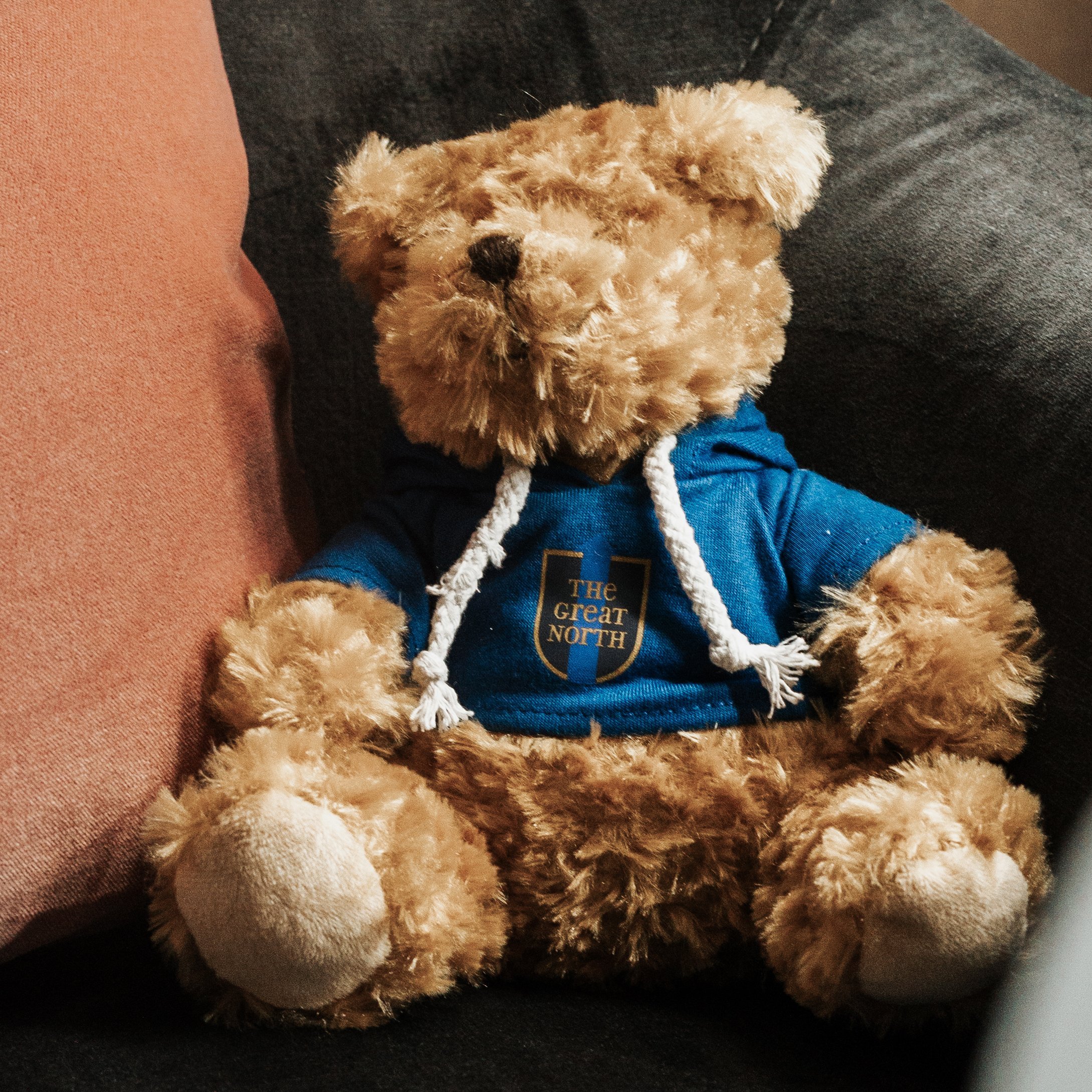 Dreiklang Business & Spa Resort in Kaltenkirchen – Teddybär mit "The Great North" Hoodie als Dekoration | Wellnesshotel Schleswig-Holstein