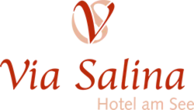 Logo des Hotel Via Salina mit dem Schriftzug 'Hotel am See' und stilisiertem 'VS' Symbol.