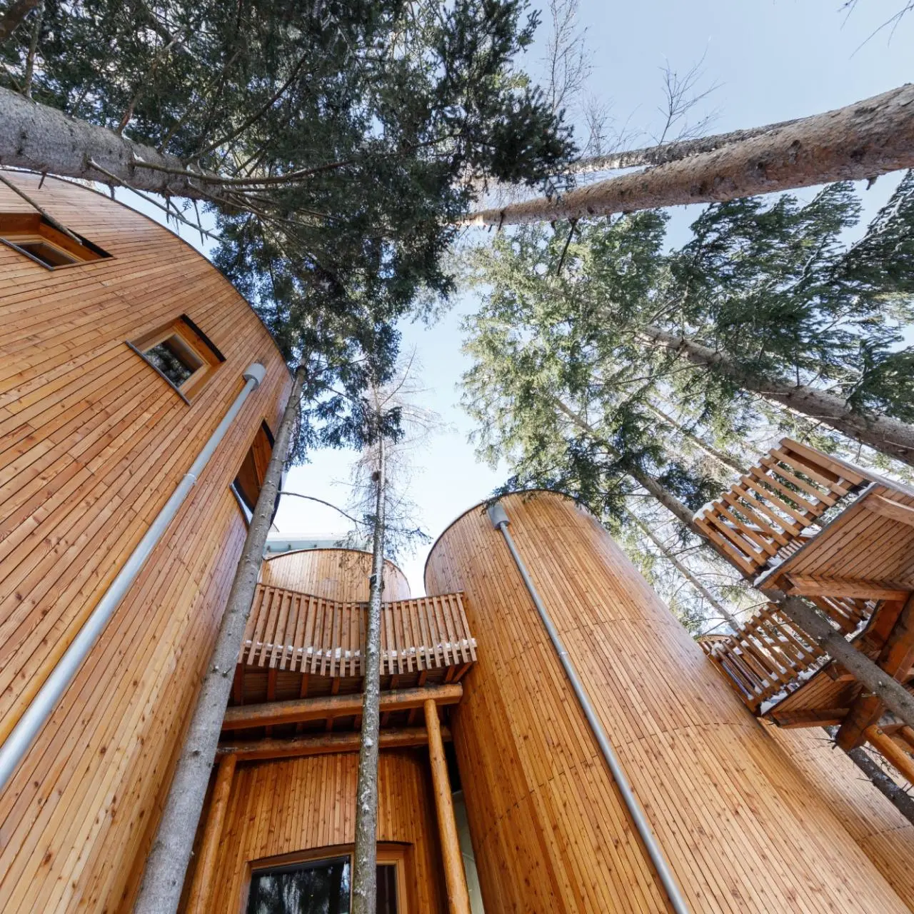 Einzigartige Holzarchitektur des Naturhotel Waldklause, harmonisch eingebettet zwischen hohen Bäumen unter blauem Himmel.
