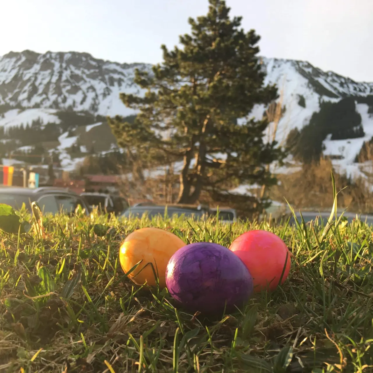Bunte Ostereier im Gras mit verschneiten Bergen im Hintergrund, Hotel Lanig Resort & Spa.