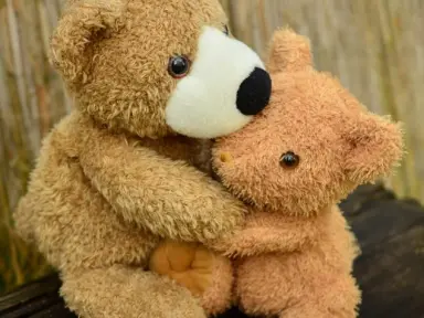Zwei kuschelige braune Teddybären umarmen sich. Ein Detailbild vom Vital- und Wellnesshotel Albblick.