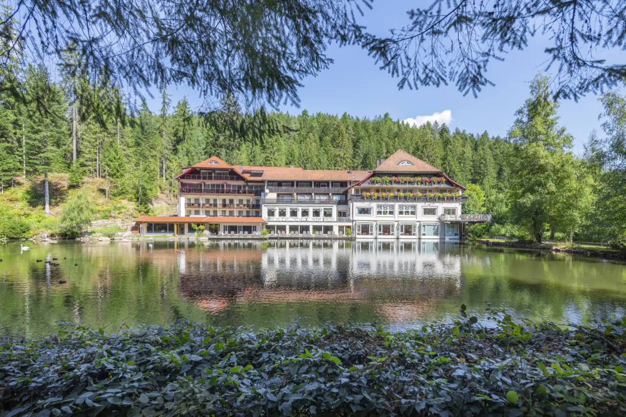 Hotel Langenwaldsee am idyllischen Seeufer, umgeben von dichtem Wald. Perfekt für einen erholsamen Wellnessurlaub in der Natur.
