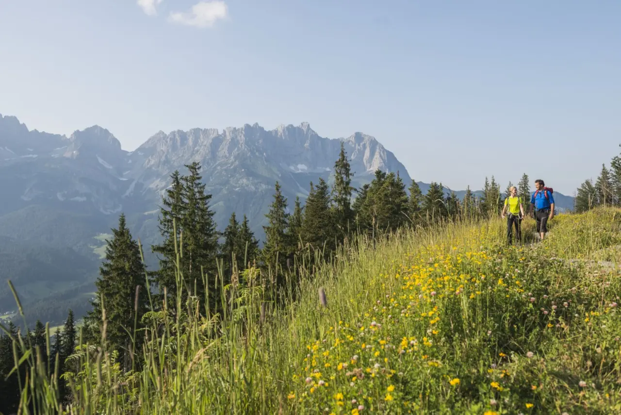 Wanderer auf einer blühenden Bergwiese mit Blick auf das Kaisergebirge, Umgebung Hotel Hochfilzer