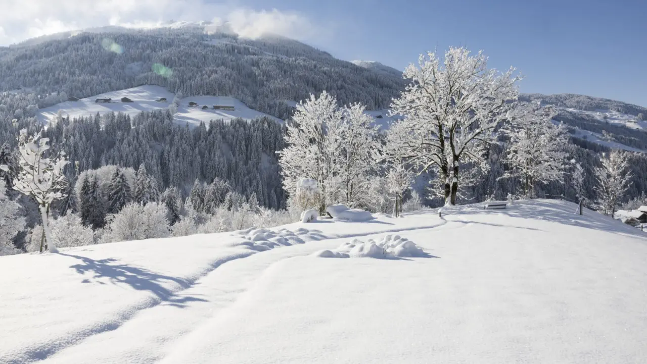 Verschneite Winterlandschaft mit Bäumen und Bergen im Alpbacherhof Mountain & Spa Resort