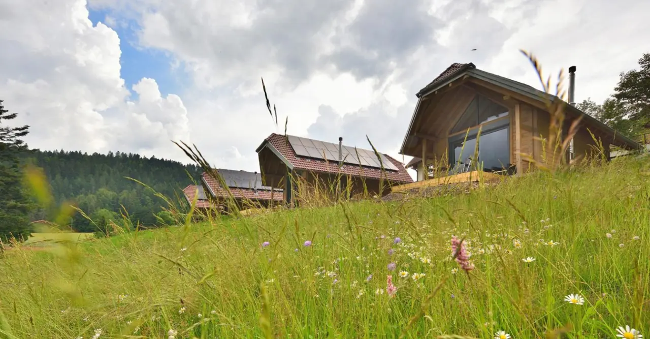 Holz-Lodges des Hotel Rößle in einer blühenden Wiese mit Wald im Hintergrund unter bewölktem Himmel.
