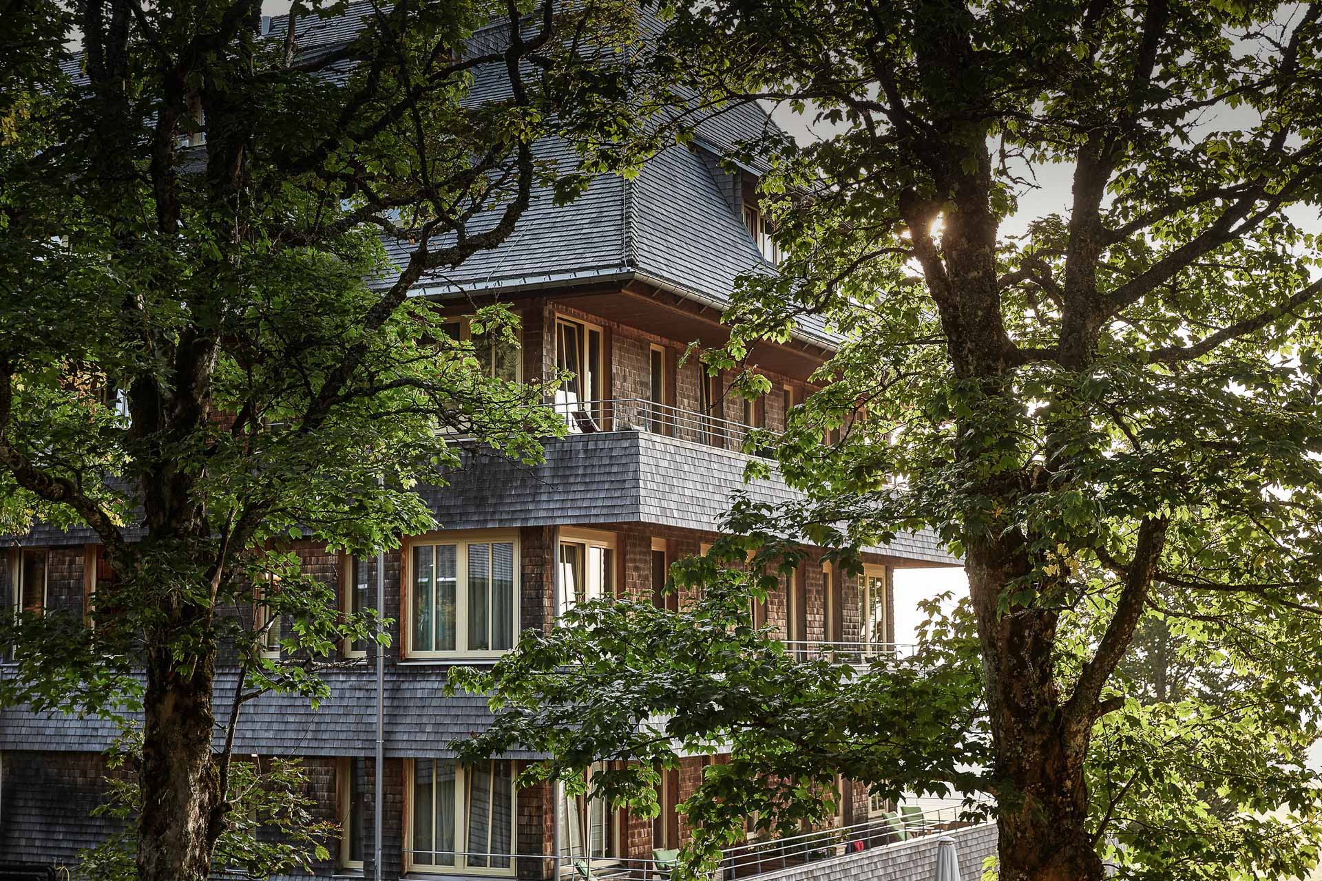 Hotel Die Halde in Oberried-Hofsgrund – Hotelgebäude umgeben von grünen Bäumen | Wellnesshotel Schwarzwald