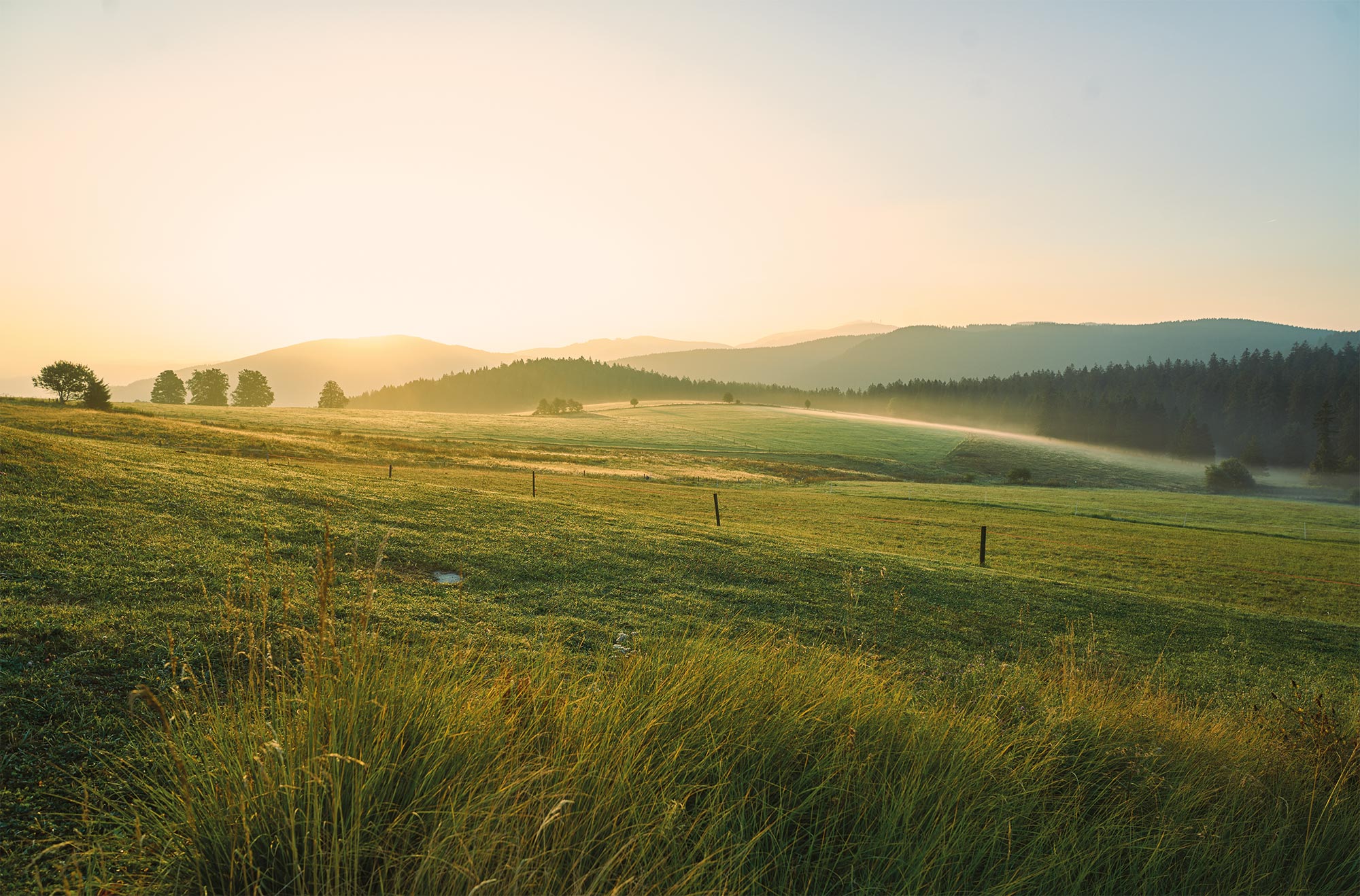 Hotel Die Halde in Oberried-Hofsgrund – Morgendliche Landschaft mit Nebelschwaden | Wellnesshotel Schwarzwald
