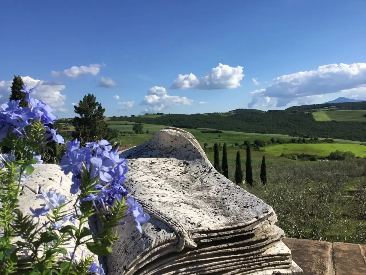 Sant'Antonio Country Resort Montepulciano — Bild 4