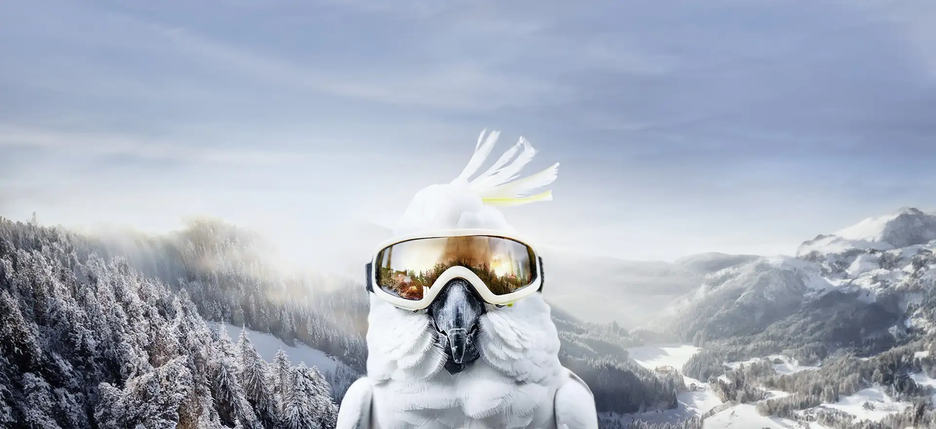Hotel Alpenrose in Elbigenalp – Skifahrender Kakadu mit Skibrille im Wintergebirge | Wellnesshotel Lechtal