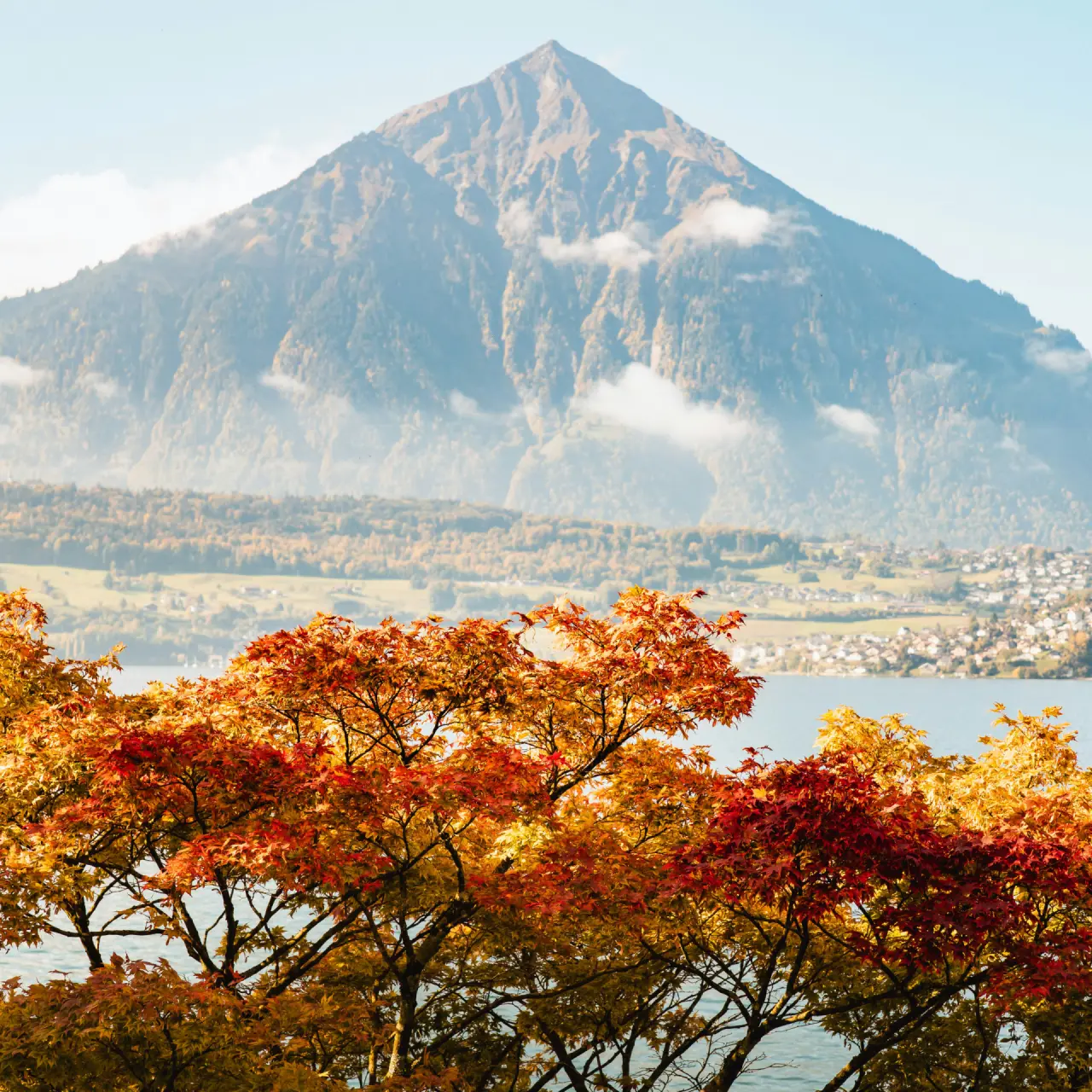 Herbstliche Landschaft mit bunten Bäumen, Thunersee und Niesen im BEATUS Wellness- & Spa-Hotel