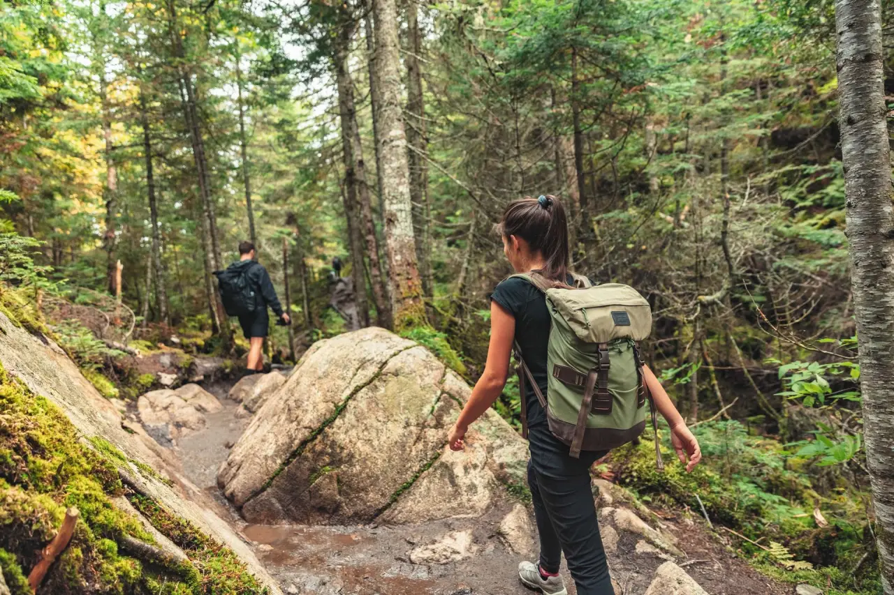 Aktive Erholung: Zwei Wanderer auf einem naturnahen Waldweg in der Umgebung des Revita Wellnesshotels.