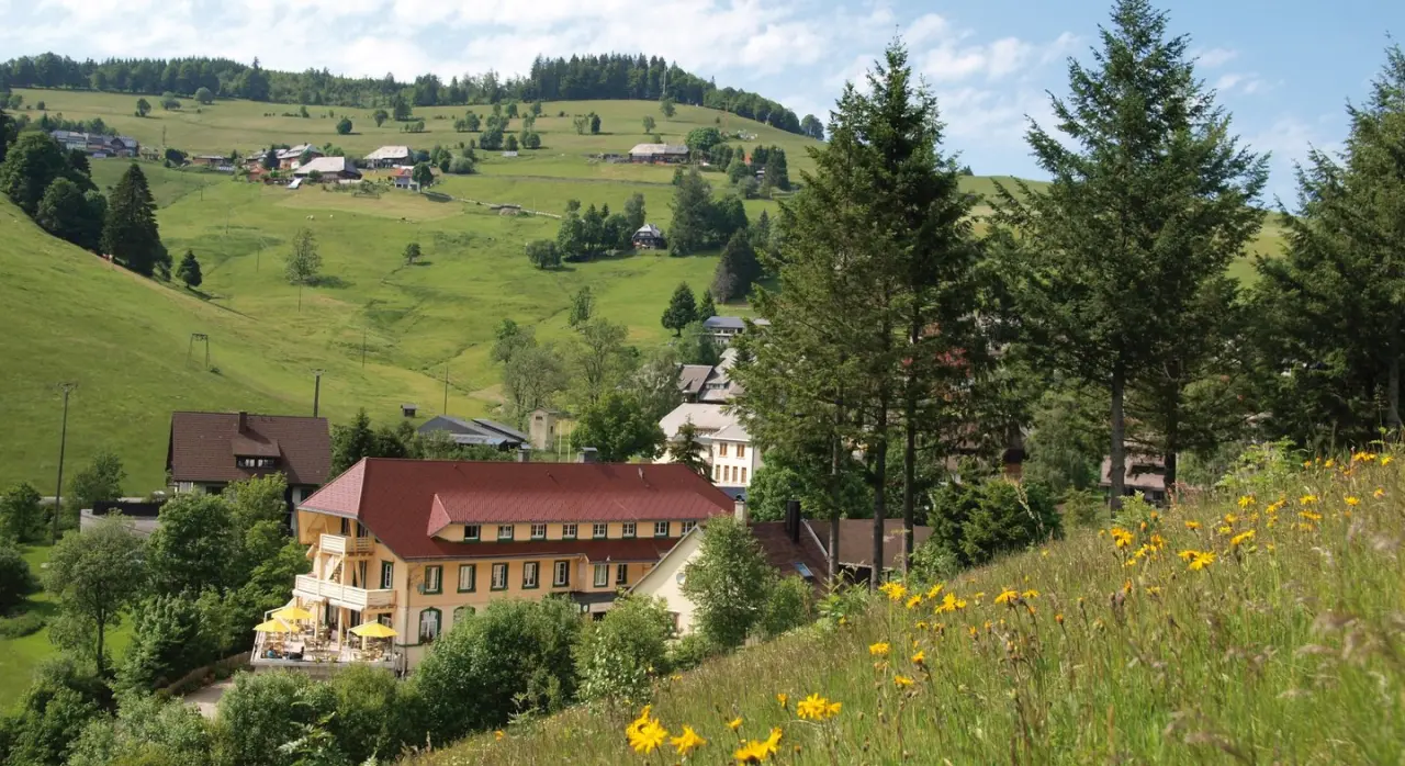 Naturparkhotel Grüner Baum — weiteres Bild