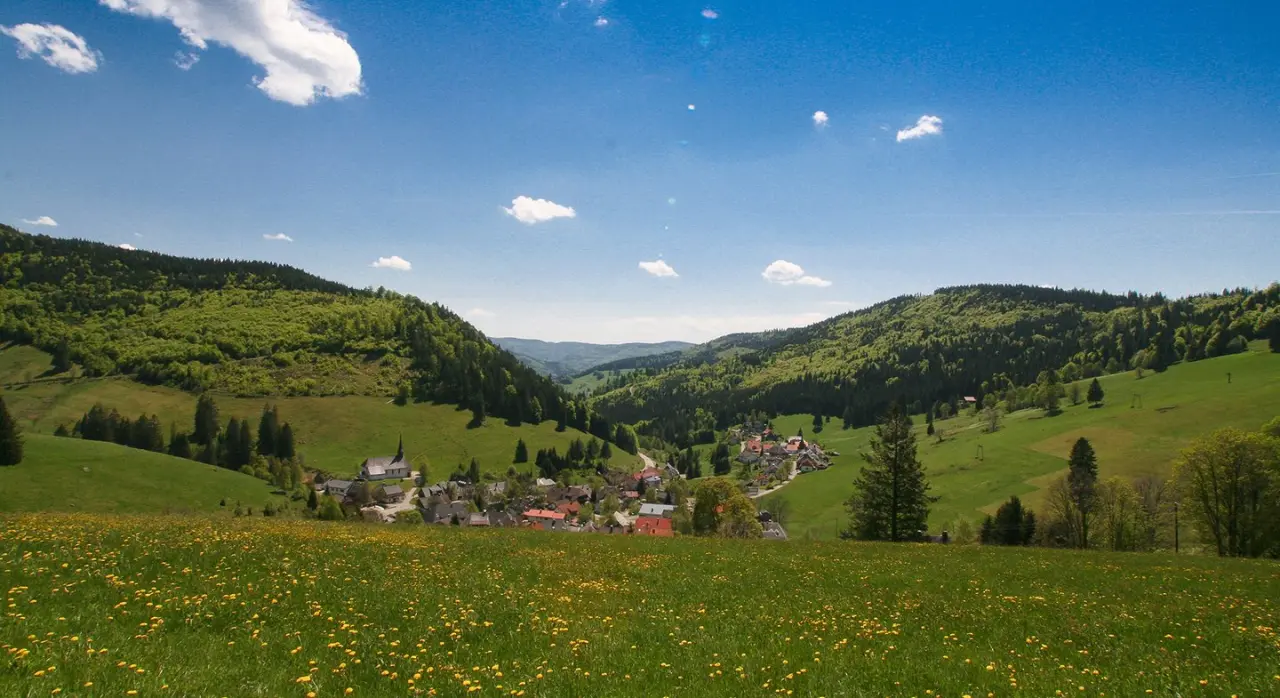 Malerisches Tal mit blühenden Wiesen, Dorf und grünen Hügeln, die Umgebung des Naturparkhotel Grüner Baum.