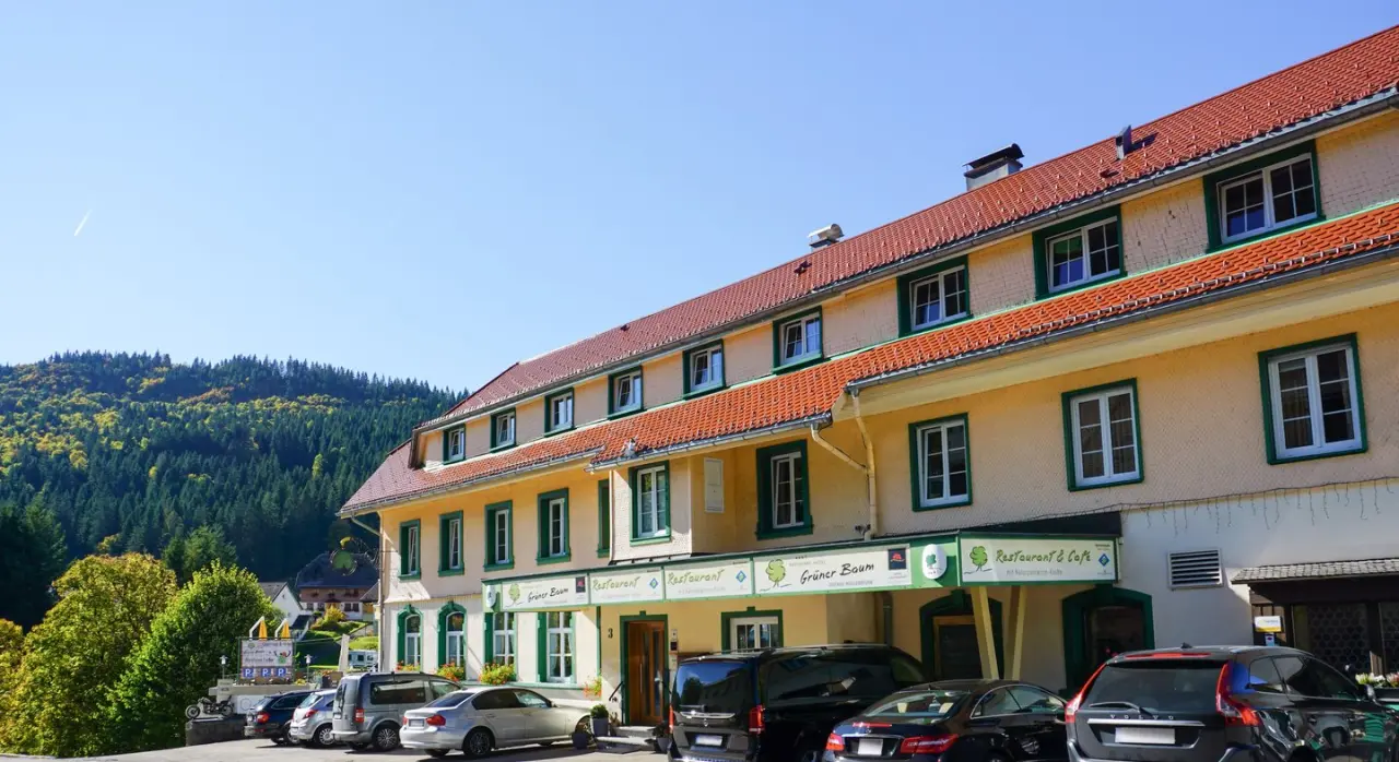 Aussenansicht des Naturparkhotel Grüner Baum mit gelber Fassade, rotem Dach und grünen Fensterläden vor bewaldeten Hügeln.
