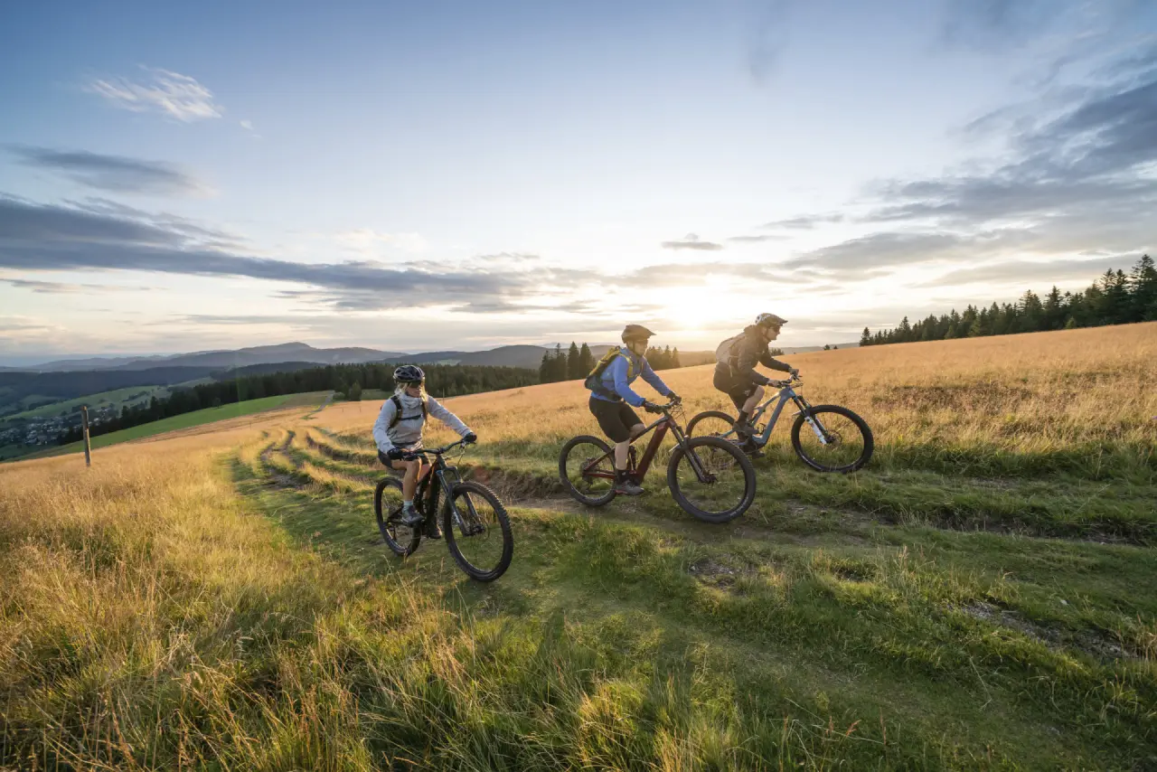 Mountainbiker bei Sonnenuntergang auf einer Wiese mit Bergpanorama nahe dem Naturparkhotel Grüner Baum.