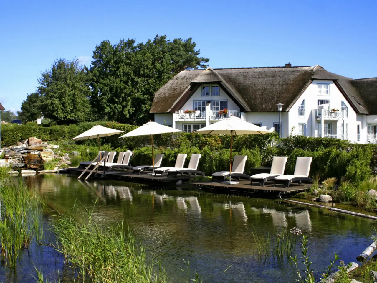Natürlicher Badeteich mit Sonnenterrasse und reetgedecktem Hotelgebäude des Balmer See - Hotel·Golf·Spa.