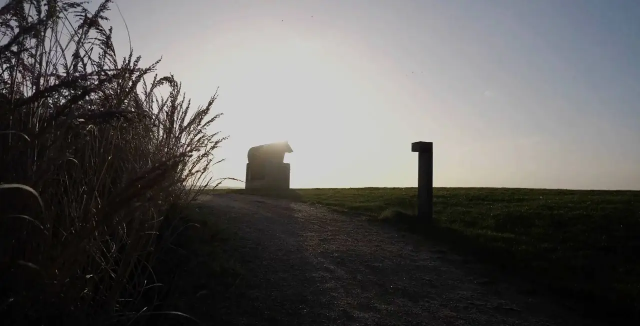 Silhouetten von Gräsern und Skulpturen bei Sonnenuntergang auf einem Feldweg nahe dem ARBOREA Marina Resort Neustadt.