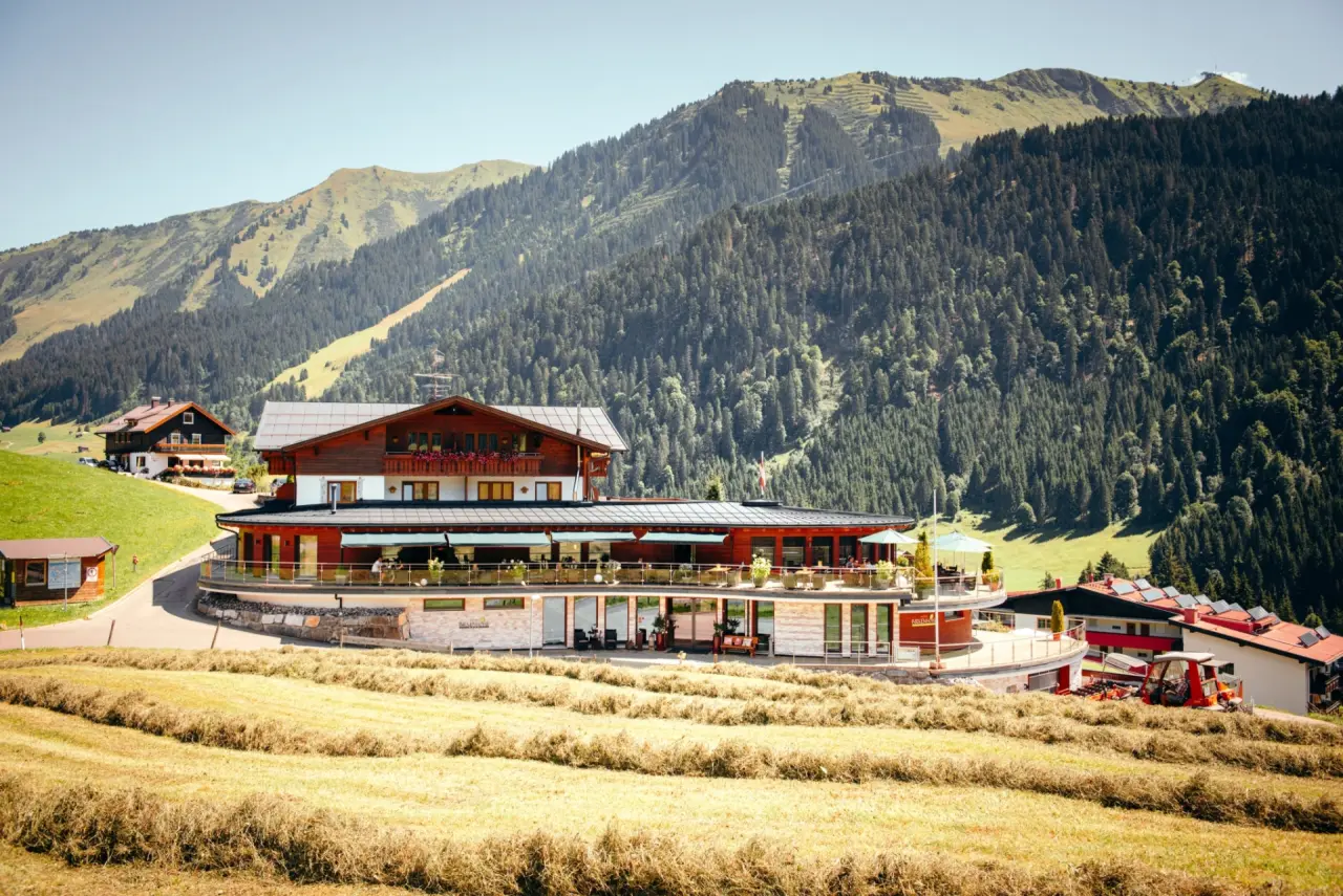 Aussenansicht Hotel Birkenhöhe in den Bergen, umgeben von grünen Wiesen und Wäldern, mit Heufeldern im Vordergrund.