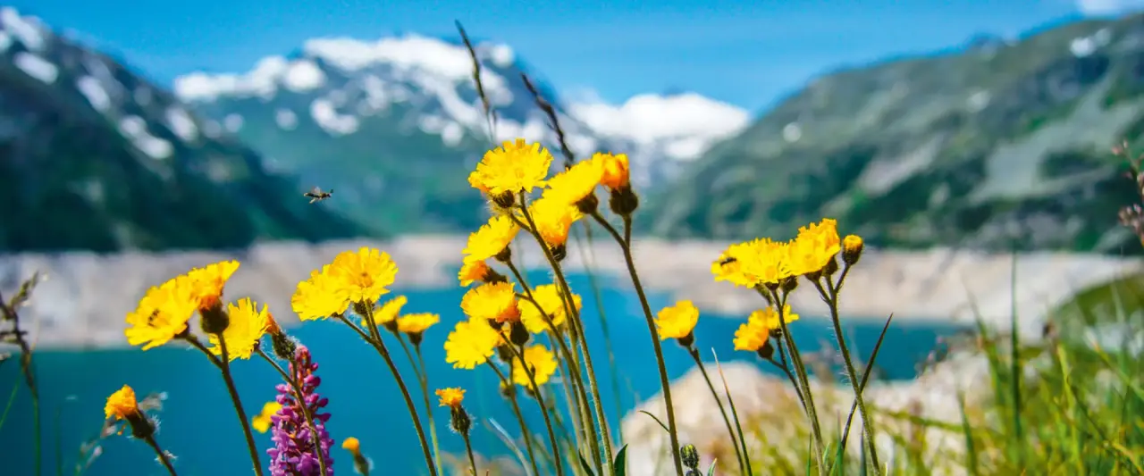 Alpenhotel Oberstdorf — weiteres Bild