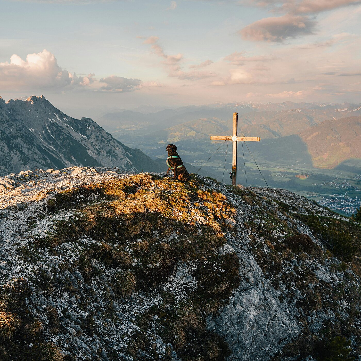 AMERON Neuschwanstein Alpsee Resort & Spa in Hohenschwangau – Wanderung mit Hund auf einem Berggipfel im Allgäu | Wellnesshotel Allgäu