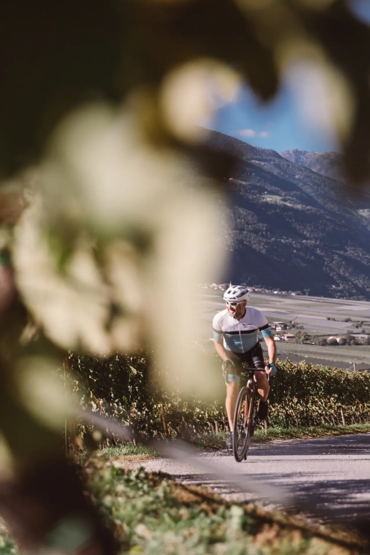 Lindenhof Pure Luxury & Spa DolceVita Resort in Naturns – Rennradfahrer in den Weinbergen | Wellnesshotel Südtirol
