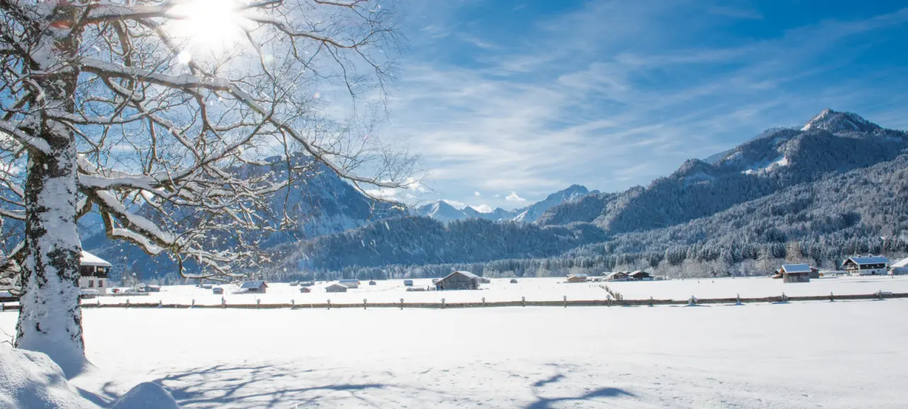 Winterlandschaft mit verschneiten Bergen und Baum im Allgäu, Umgebung von SCHÜLE'S Gesundheitsresort & Spa.