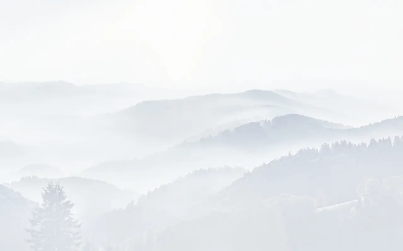 Malerische Nebellandschaft mit sanften Hügeln und Wäldern in der Umgebung des Hotel Grüner Wald.