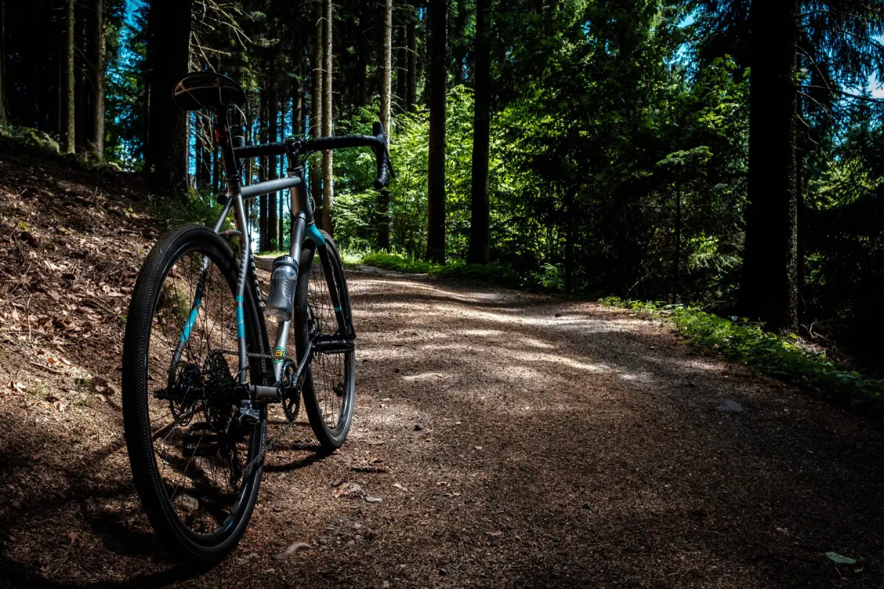 Fahrrad auf einem sonnigen Waldweg im Grünen Wald, perfekt für Radtouren und Naturerlebnisse nahe dem Hotel Grüner Wald****S.