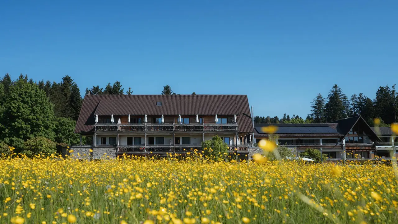 Hotel Grüner Wald****S — weiteres Bild