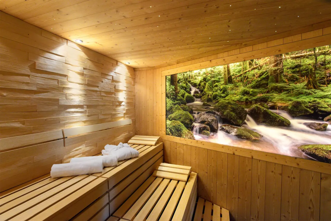 Einladende Finnische Sauna mit Waldpanorama und Sternenhimmel im Wellnessbereich des Hotel Grüner Wald.