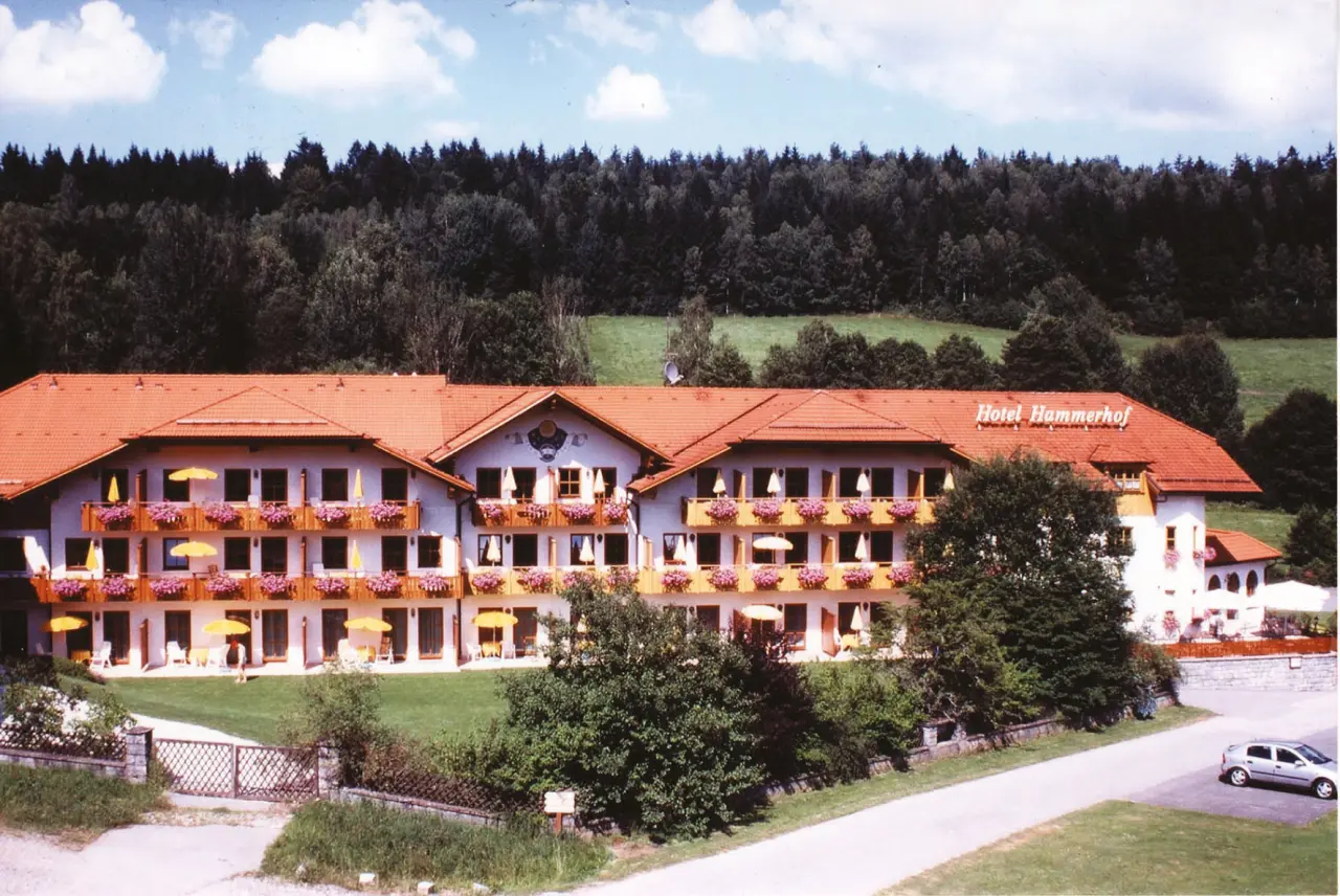 Aussenansicht des Hotel Hammerhof mit roten Dächern, blühenden Balkonen und grüner Waldlandschaft im Hintergrund.