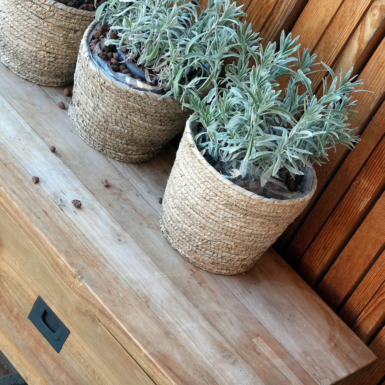 Dekorative Pflanzen in geflochtenen Körben auf einer Holzbank im Tannenhof Sport & SPA.