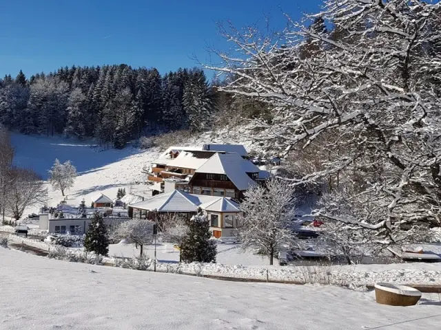 Winterliche Aussenansicht des Hotel Käppelehof, eingebettet in verschneite Landschaft mit Wald und blauem Himmel.