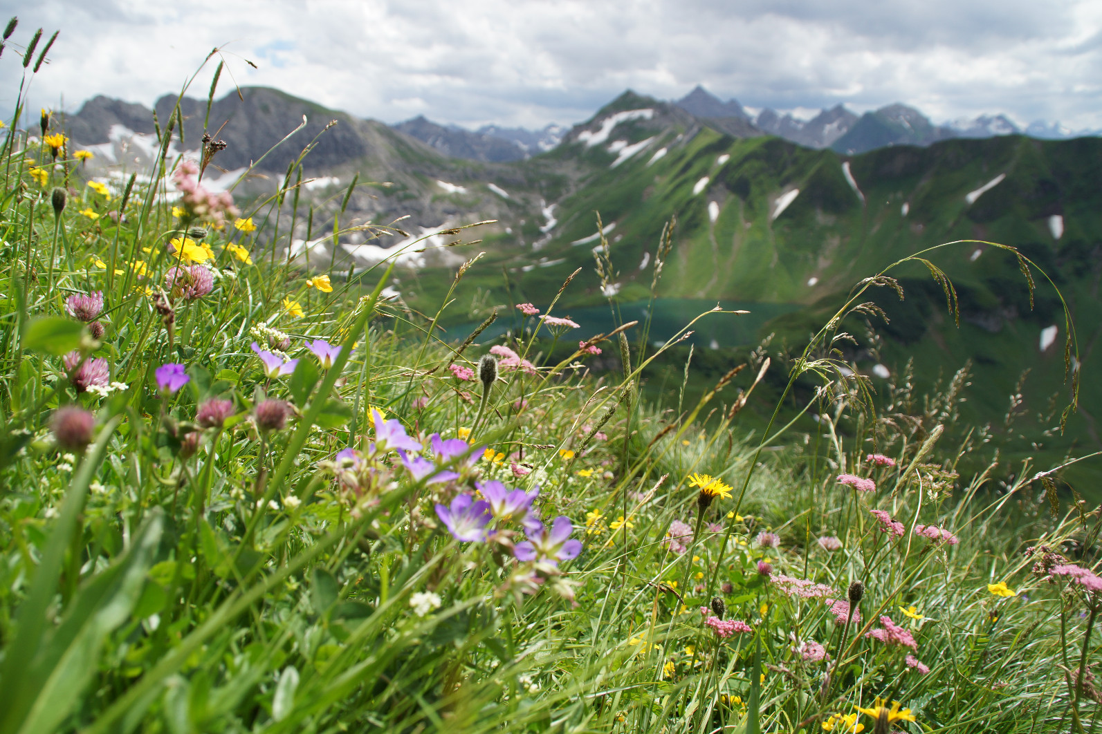 Hotel Alpenstüble in Mittelberg – Wildblumenwiese mit Bergsee und Gipfeln im Hintergrund | Wellnesshotel Allgäu