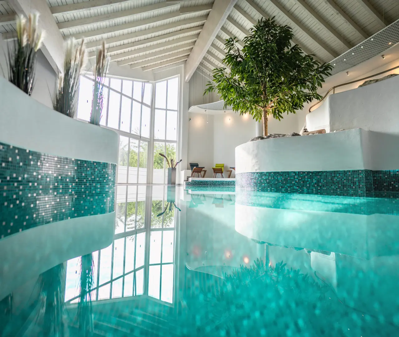 Moderner Innenpool mit großer Fensterfront, Tageslicht und einem Baum im Wellnessbereich des Hotel Wutzschleife.