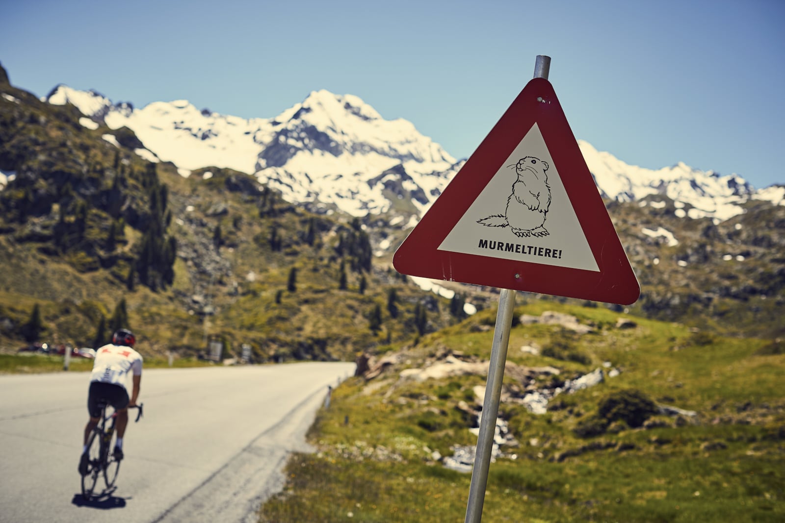Hotel Weisseespitze in Kaunertal – Radfahrer auf Bergstraße mit Murmeltier-Warnschild | Wellnesshotel Tirol