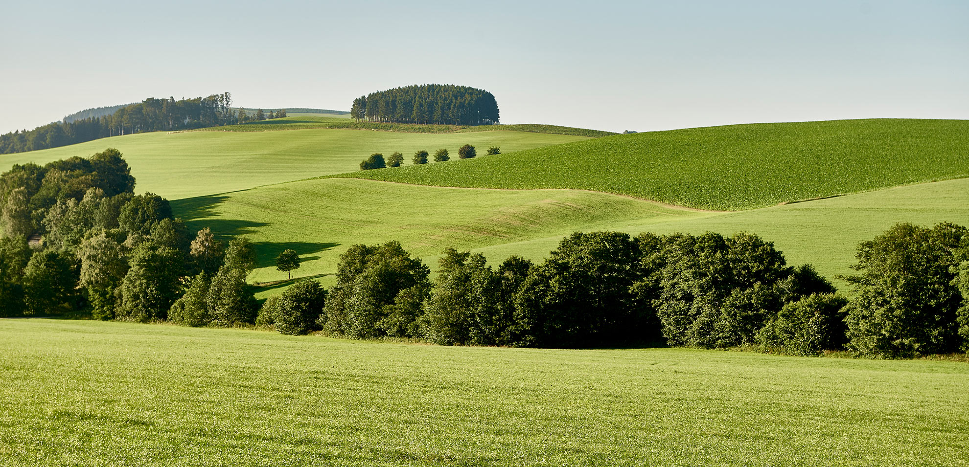 Hotel Oversum in Winterberg – Grüne Hügellandschaft im Sauerland | Wellnesshotel Sauerland