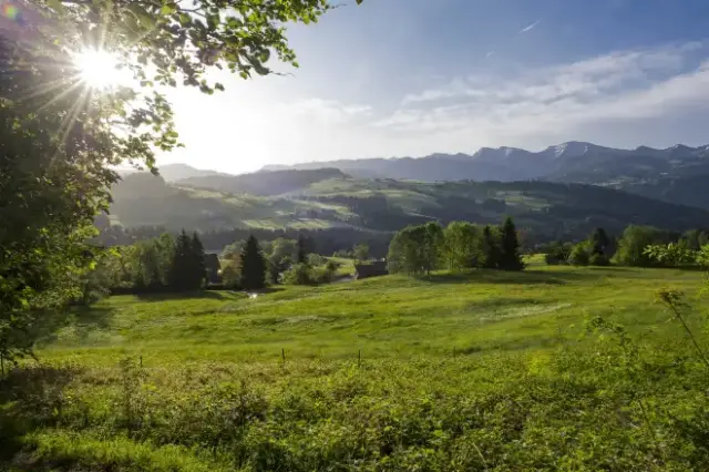 Sonnige Berglandschaft mit grünen Wiesen und Wäldern rund um das Vitalhotel Sonneck.