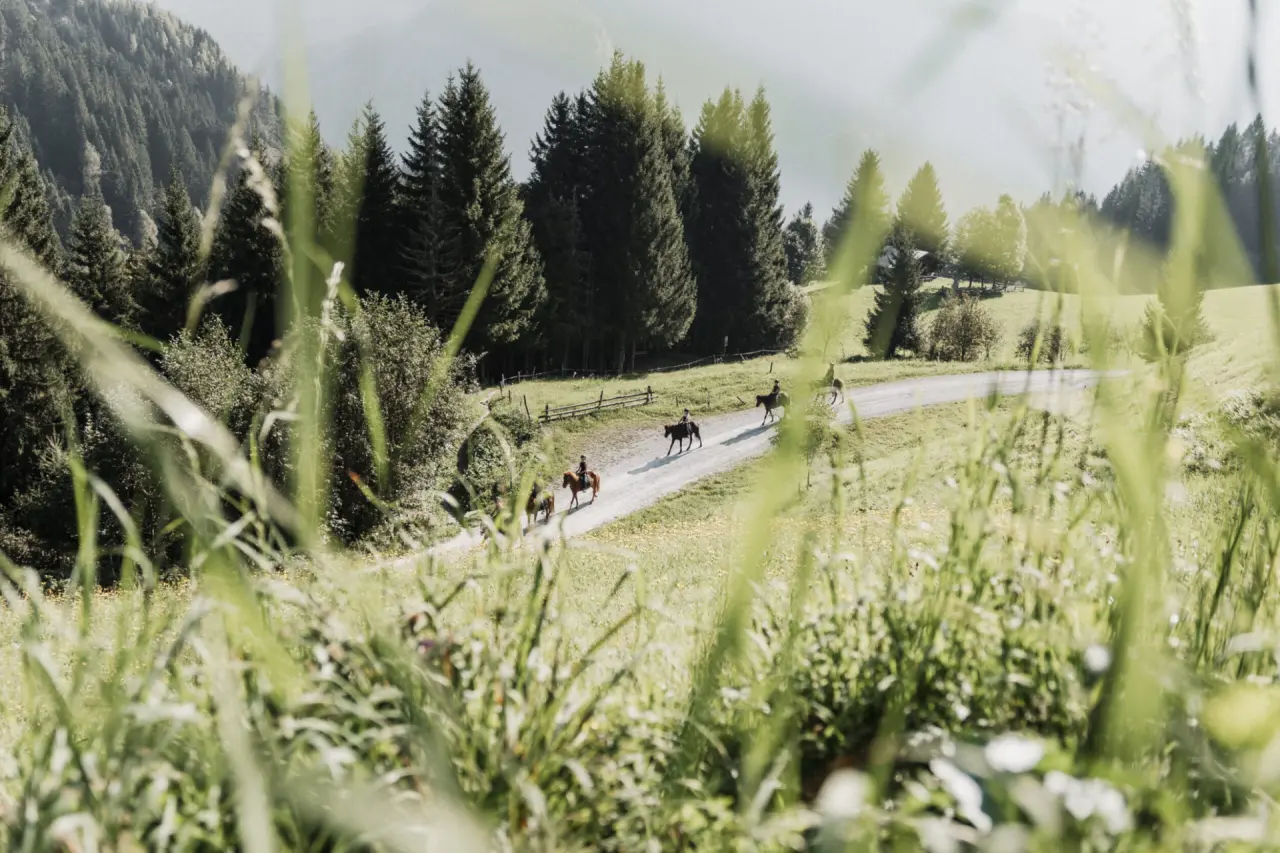 Reitausflug auf einem Waldweg mit Pferden und Reitern im Familien Natur Resort Moar Gut in den Bergen.