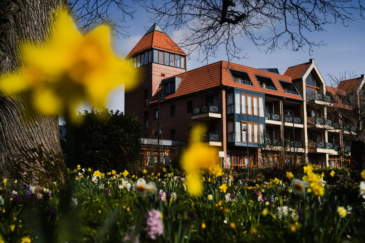 Aussenansicht des Jammertal-Resorts im Frühling mit blühenden Narzissen und Hyazinthen im Vordergrund unter blauem Himmel.
