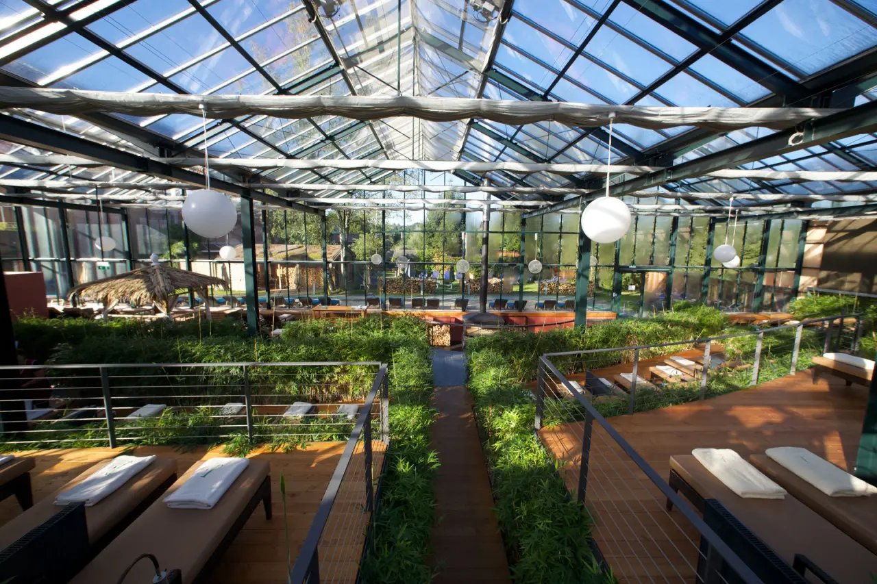 Grosszügiger, lichtdurchfluteter Wellness-Wintergarten mit Liegen und tropischer Bepflanzung im Jammertal-Resort.