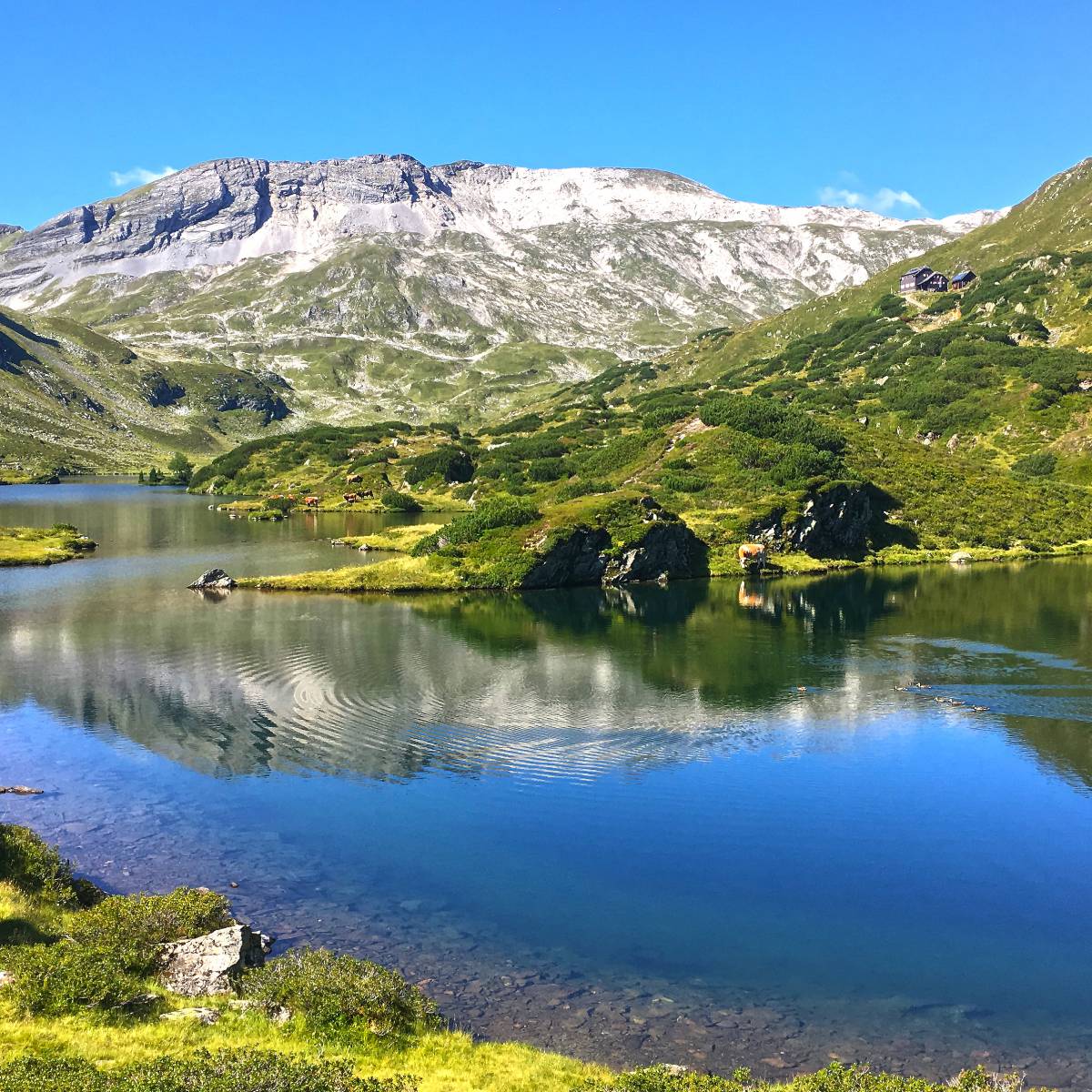 Hotel Schütterhof in Schladming – Malerischer Bergsee mit Spiegelung der Alpen | Wellnesshotel Steiermark