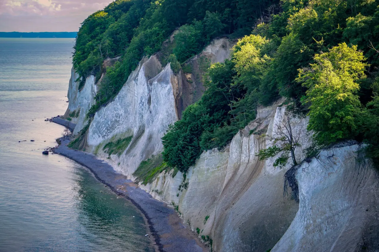 Majestätische Kreidefelsen mit bewaldeter Klippe und Kiesstrand an der Ostsee, nahe dem Hotel Solthus am See.