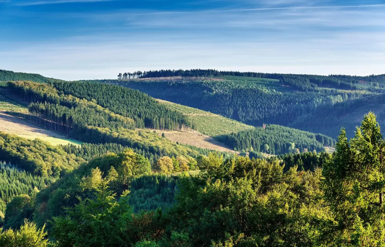 Panoramablick auf die dichten Wälder und sanften Hügel, die das Waldhaus Ohlenbach im Sauerland umgeben. Idyllische Natur.