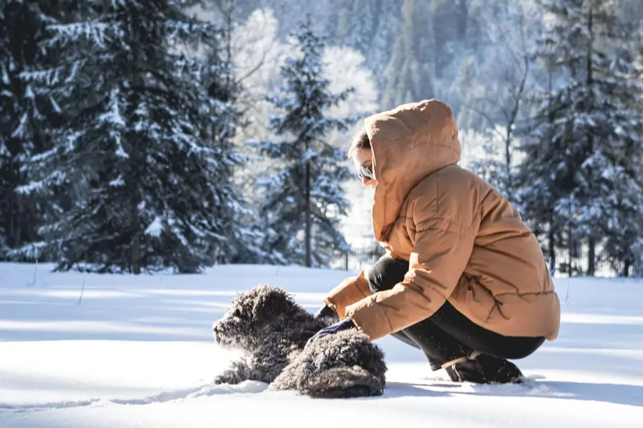 Person mit Hund im tief verschneiten Winterwald nahe dem Alpenhotel Kitzbühel am Schwarzsee, ideal für Winterwanderungen.